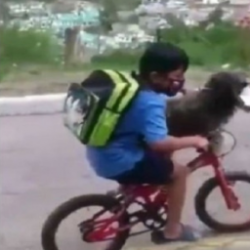 #LoViral. Niño pone cubrebocas a su perro para salir a pasear en bici