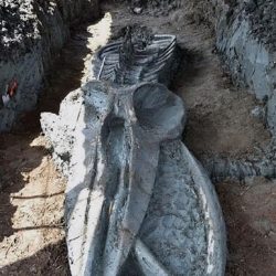 Descubren el fósil casi intacto de un cetáceo de 3.000 años cerca de Bangkok