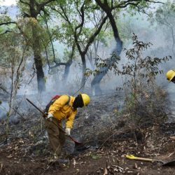 Controlan al 100 por ciento incendio en Tepoztlán, Morelos
