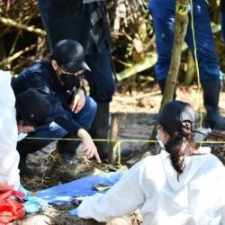 Se encontró una fosa con 7 cuerpos en Arbolillo